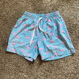 Chubbies “The Domingos Are For Flamingos” swim trunks